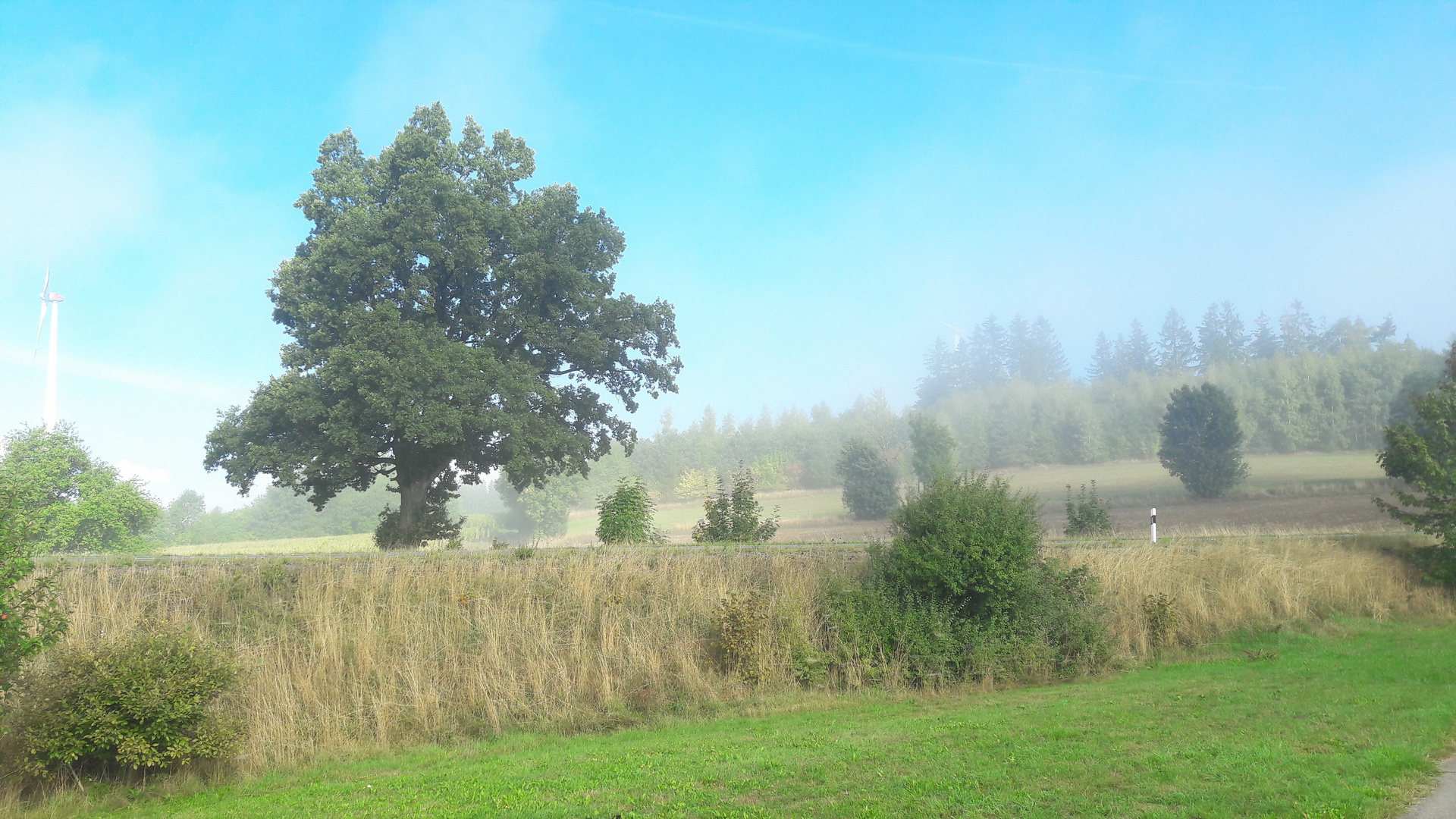 20220912 Landschaft im aufsteigenden Nebel