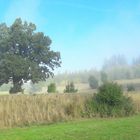 20220912 Landschaft im aufsteigenden Nebel