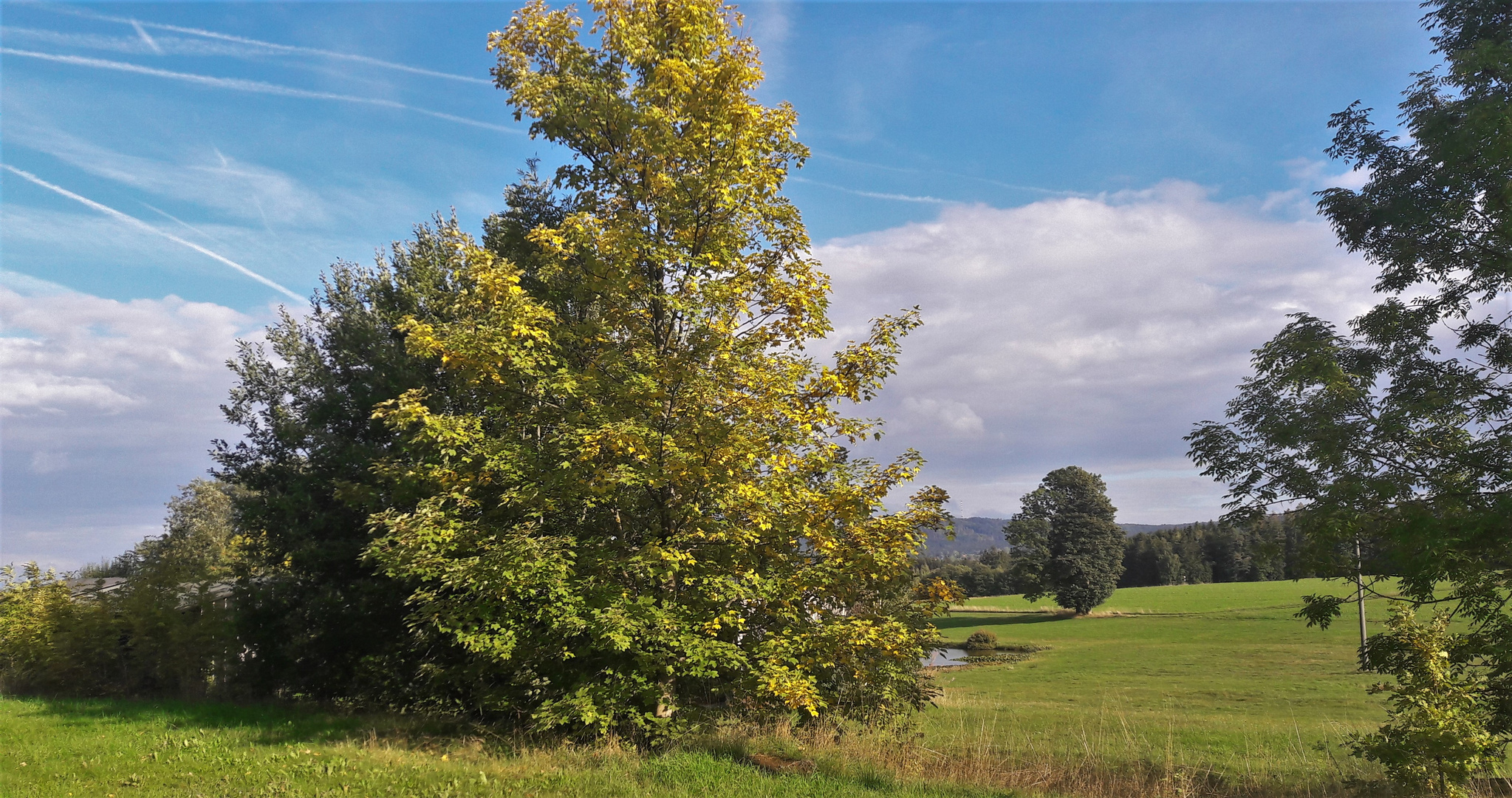 20220926 Kondensstreifen über Herbststimmung