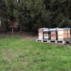 20221007 Bienenstöcke und Insektenhotel