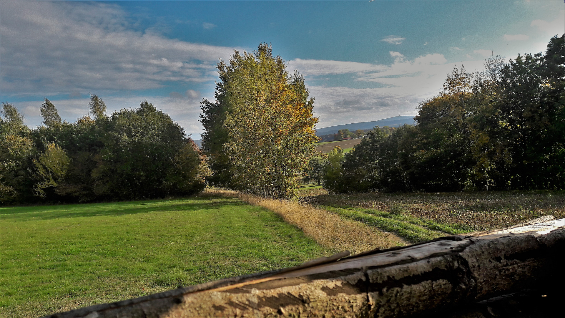 20221010 Blick vom Hochstand ( Jägeransitz)  ins Fichtelgebirge