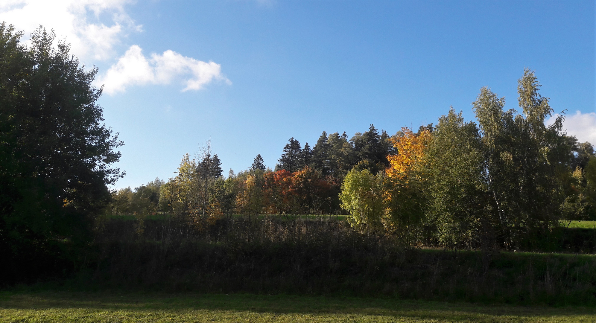 20221012 Herbst am Waldrand