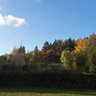 20221012 Herbst am Waldrand