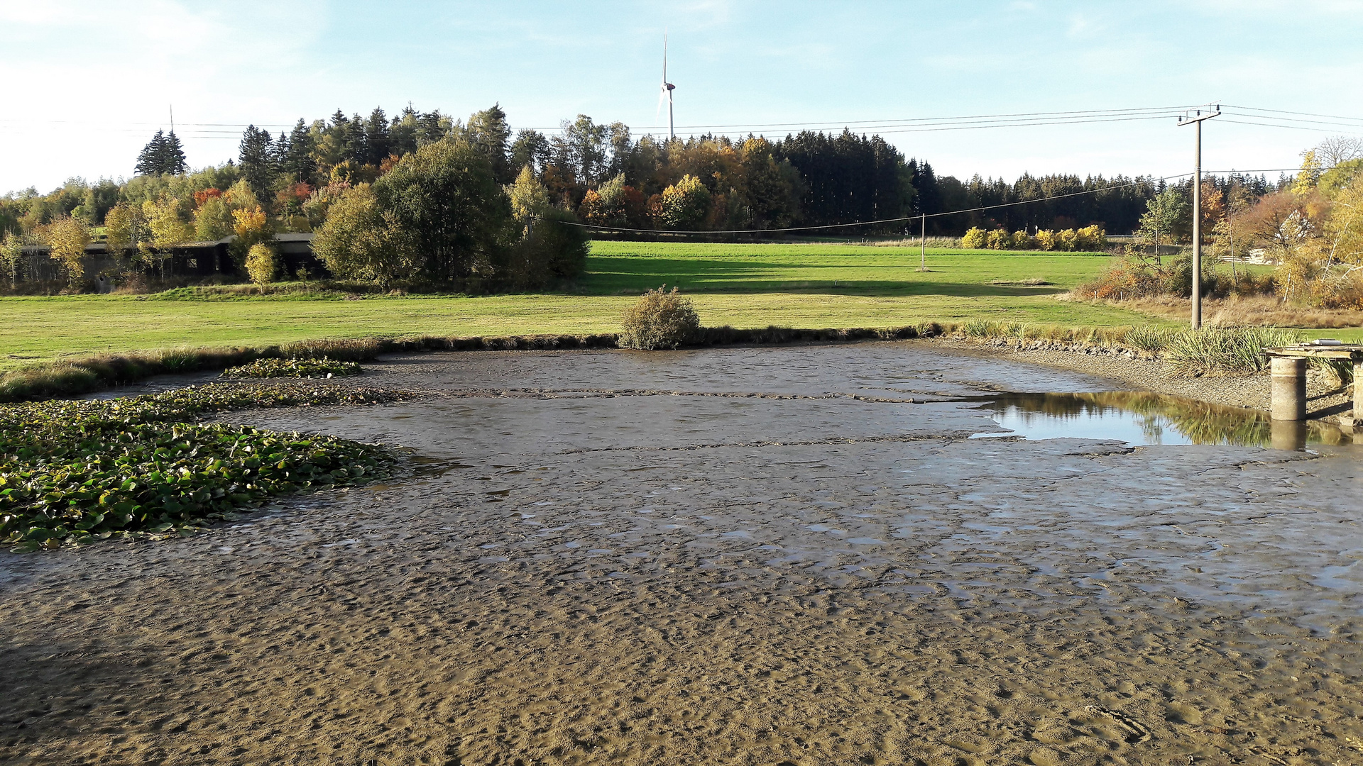 20221017 Seerosen und Teich warten auf Regen