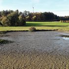 20221017 Seerosen und Teich warten auf Regen