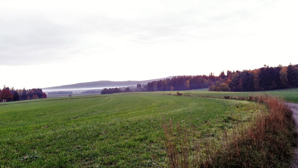 20221018 Morgens auf dem  Wasserscheideweg 