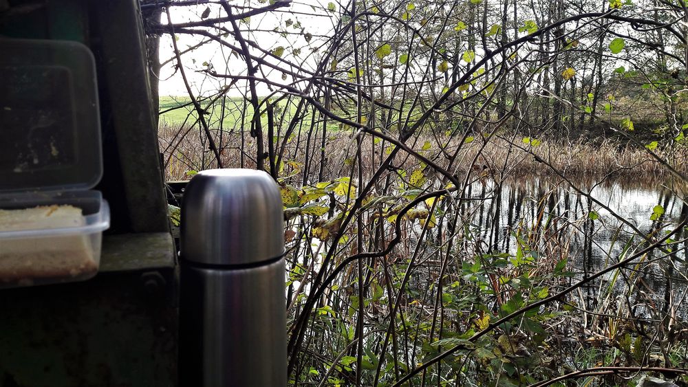 20221029 Kaffeetrinken im Dschungel vom Lernschwimmteich