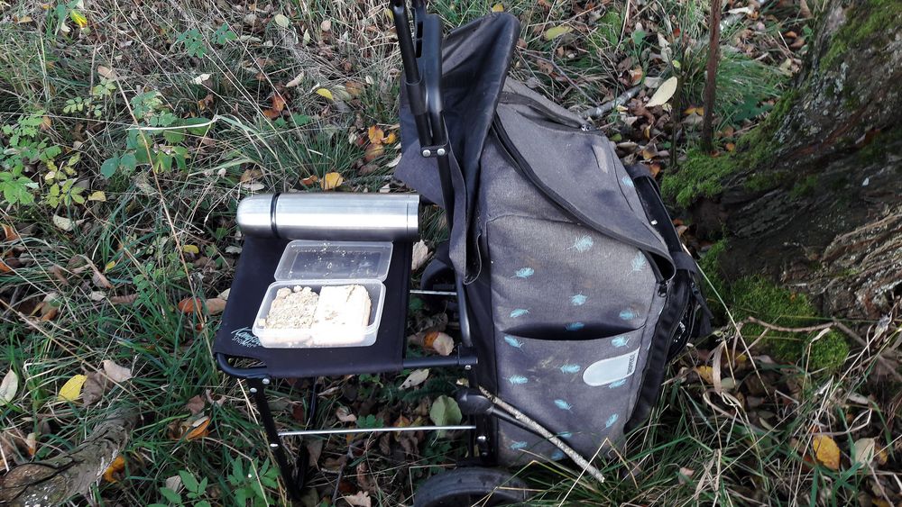 20221029  Picknick auf der Wiese neben dem Lernschwimmteich