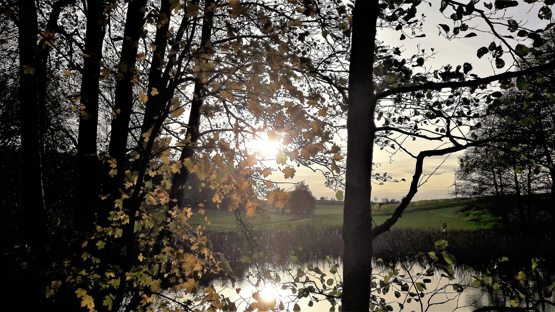 20221029  Sonnenspiegelung auf dem Lernschwimmteich