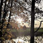 20221029  Sonnenspiegelung auf dem Lernschwimmteich