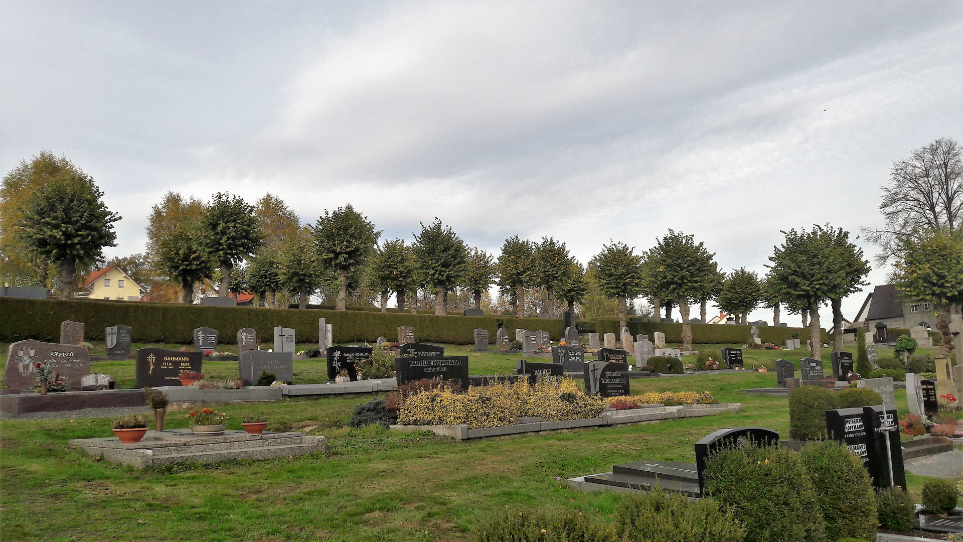 20221103 Friedhof Gefrees mit seinen kugelrunden Baumkronen im Herbstlaub