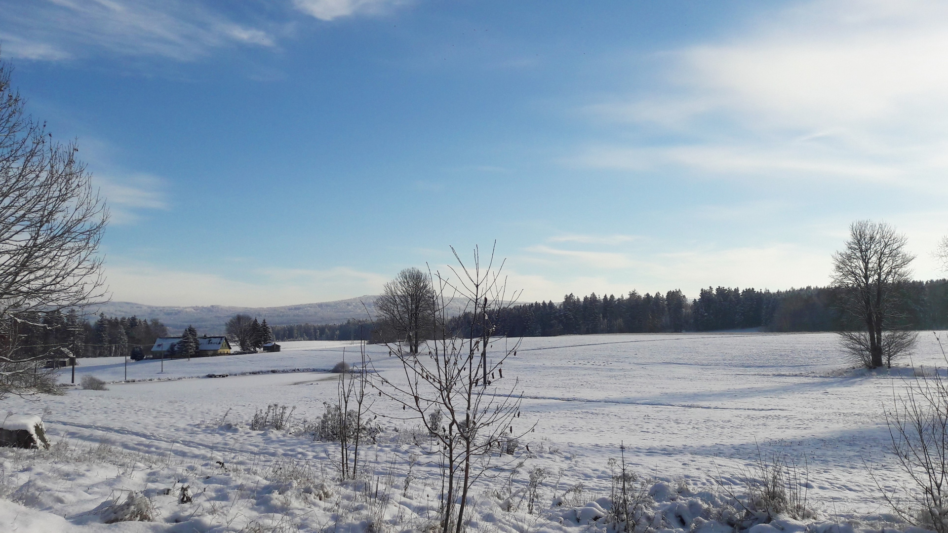 20221212  Ganz in weiß : Höhen des Fichtelgebirge  und Landschaft davor