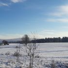 20221212  Ganz in weiß : Höhen des Fichtelgebirge  und Landschaft davor