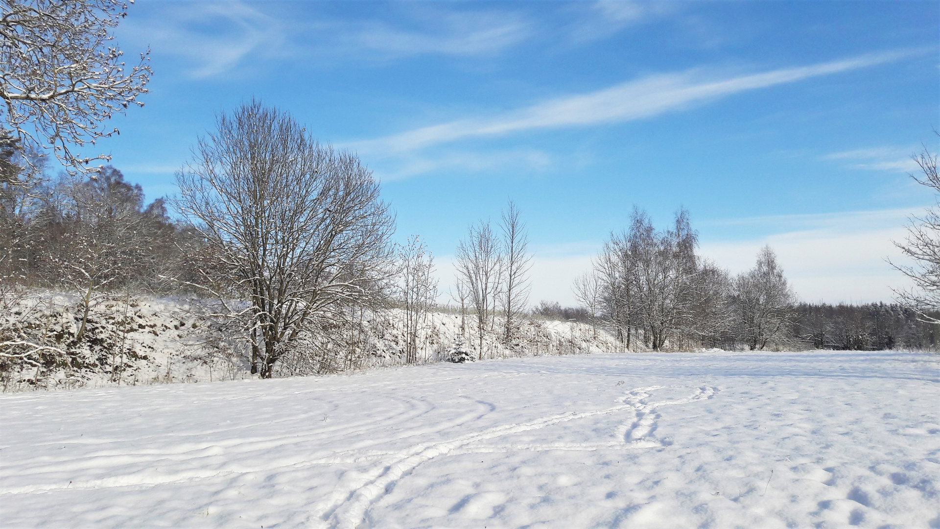 20221212 Meine Spuren im Schnee