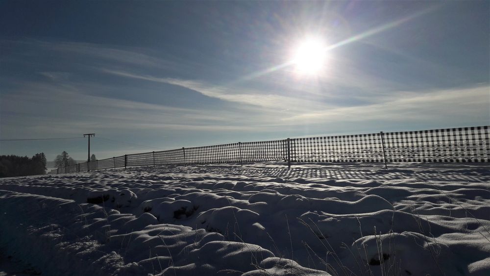 20221215 Schneezaun in der Mittagssonne