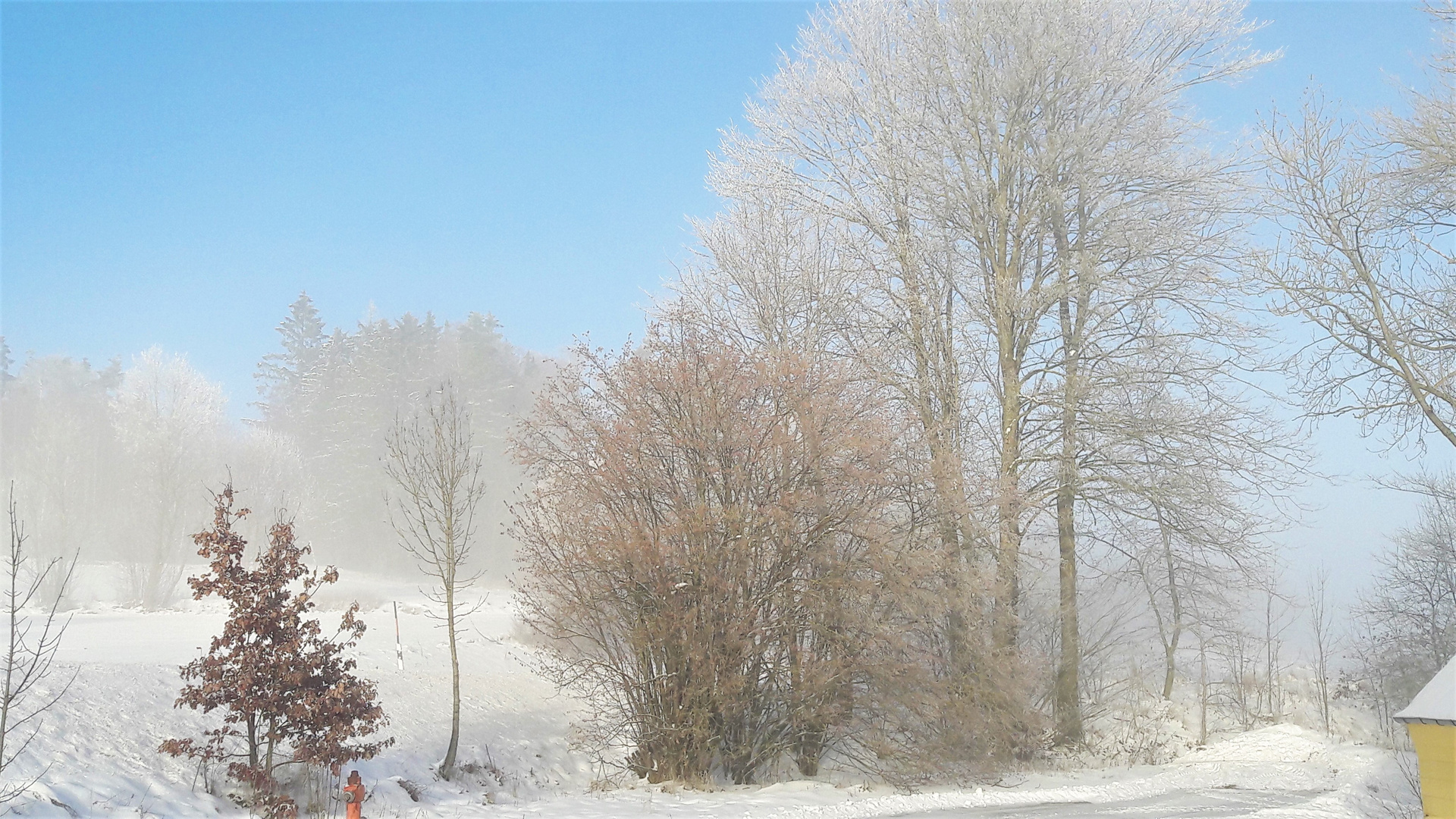20221217 Nebel  Sonne Schnee hinterm Haus