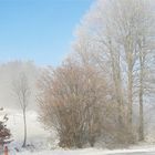 20221217 Nebel  Sonne Schnee hinterm Haus