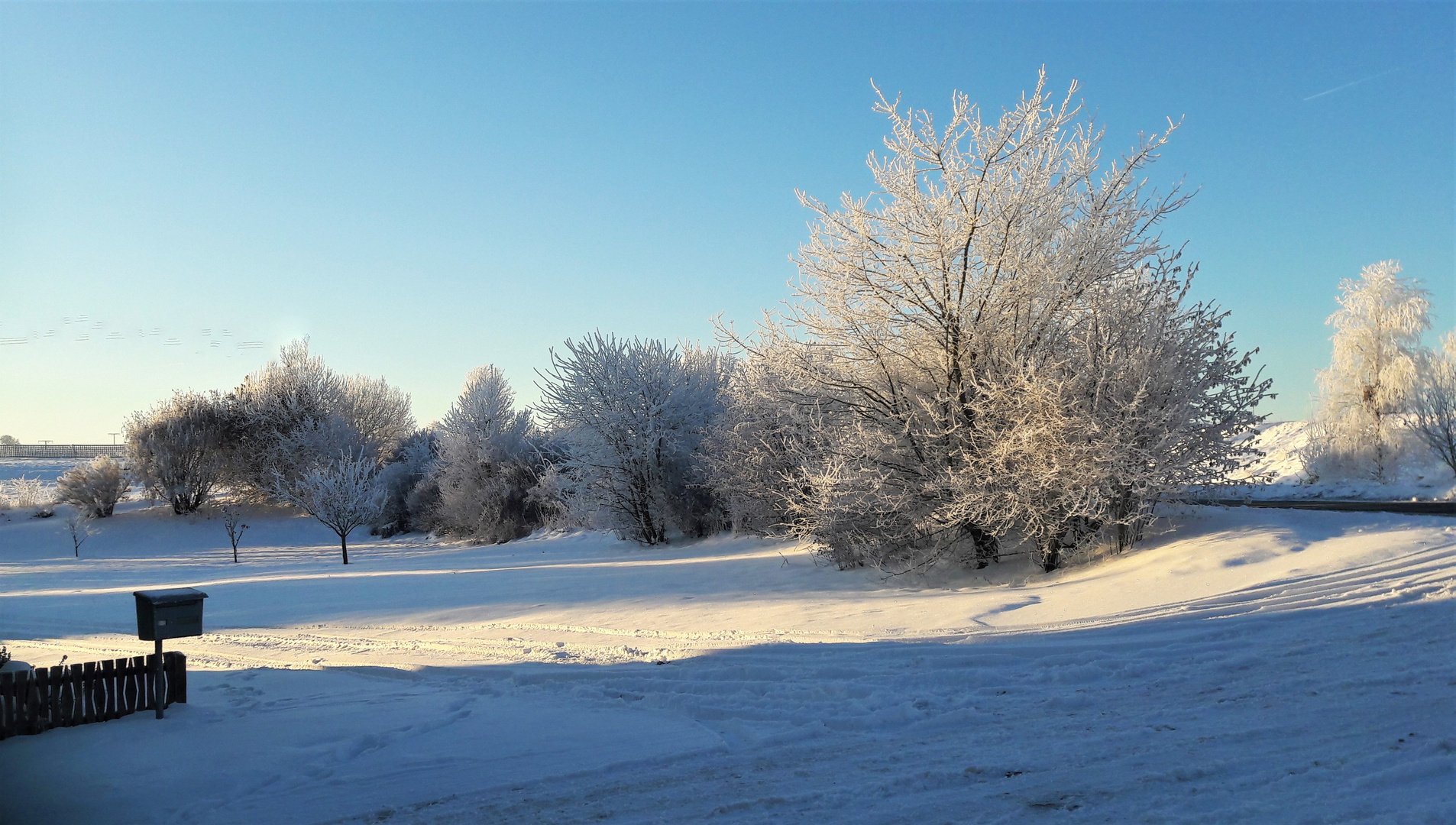 20221218 Zauberhafter Raureif in der Sonne