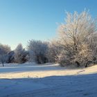 20221218 Zauberhafter Raureif in der Sonne