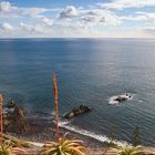 2023-01-29 16-45-46_Madeira_DSC_0569-1