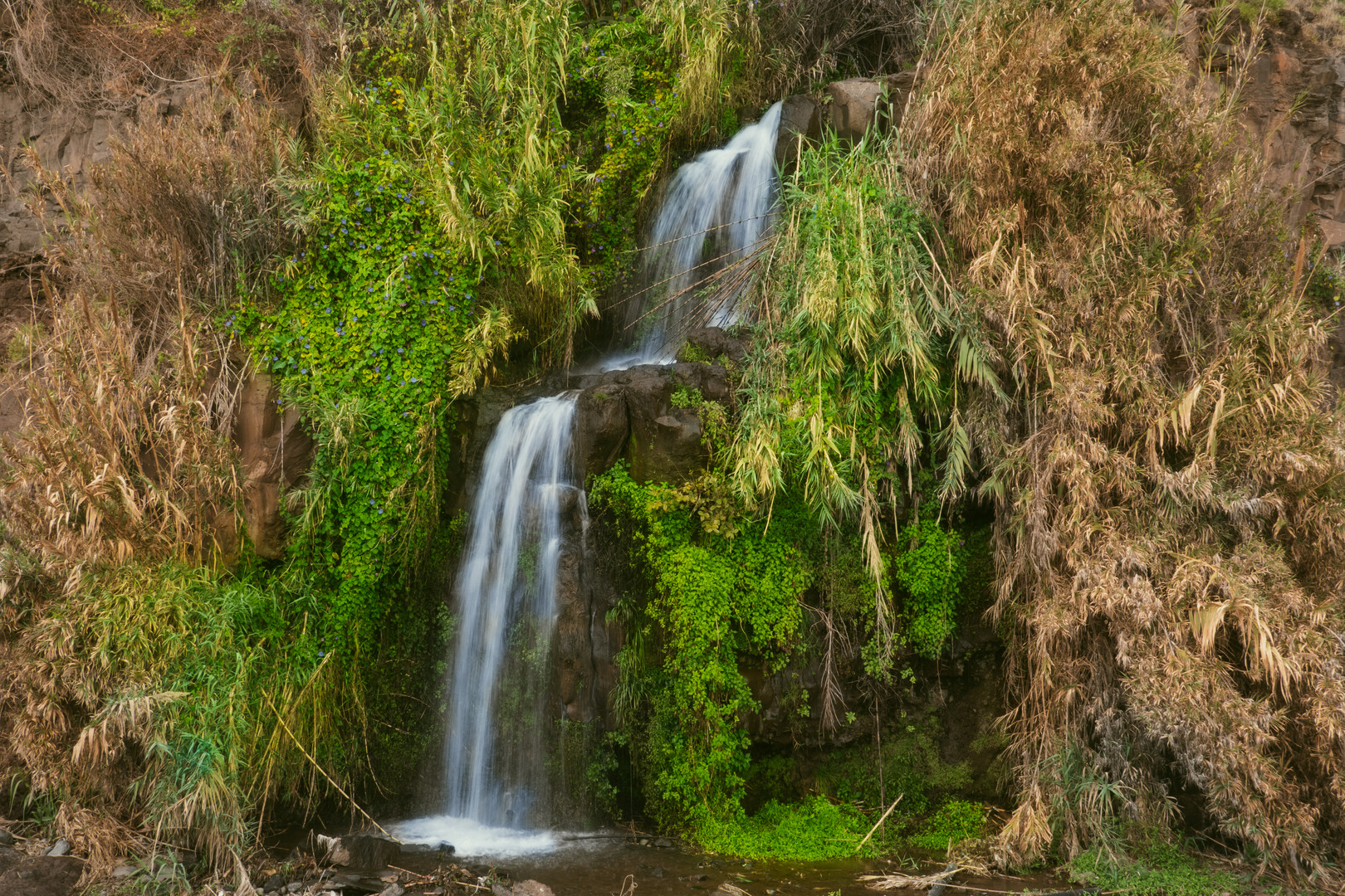 2023-01-30 12-08-14_Madeira_DSC07407-1