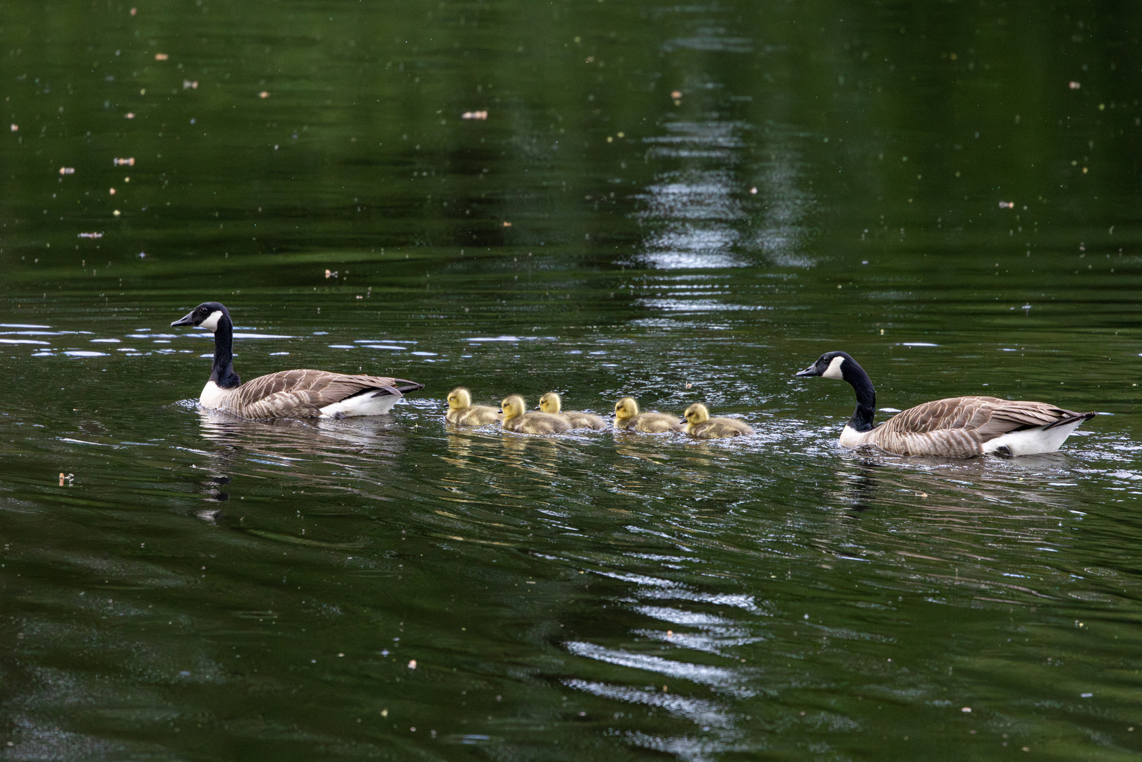 2023-05-13 - Familienausflug