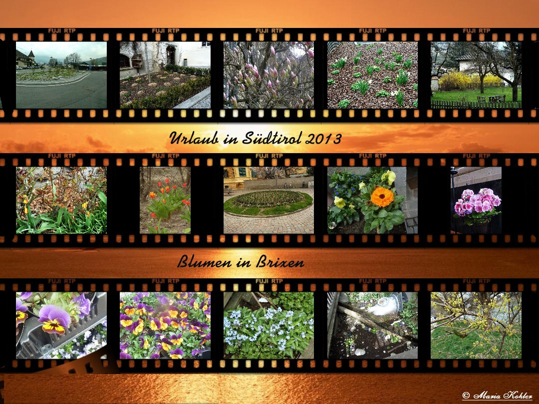 2023-05-17-Blumen in Brixen