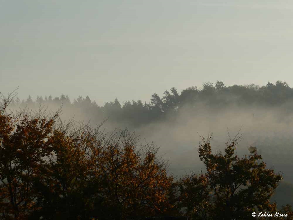 2023-10-19-Durchsicht durch den Nebel 