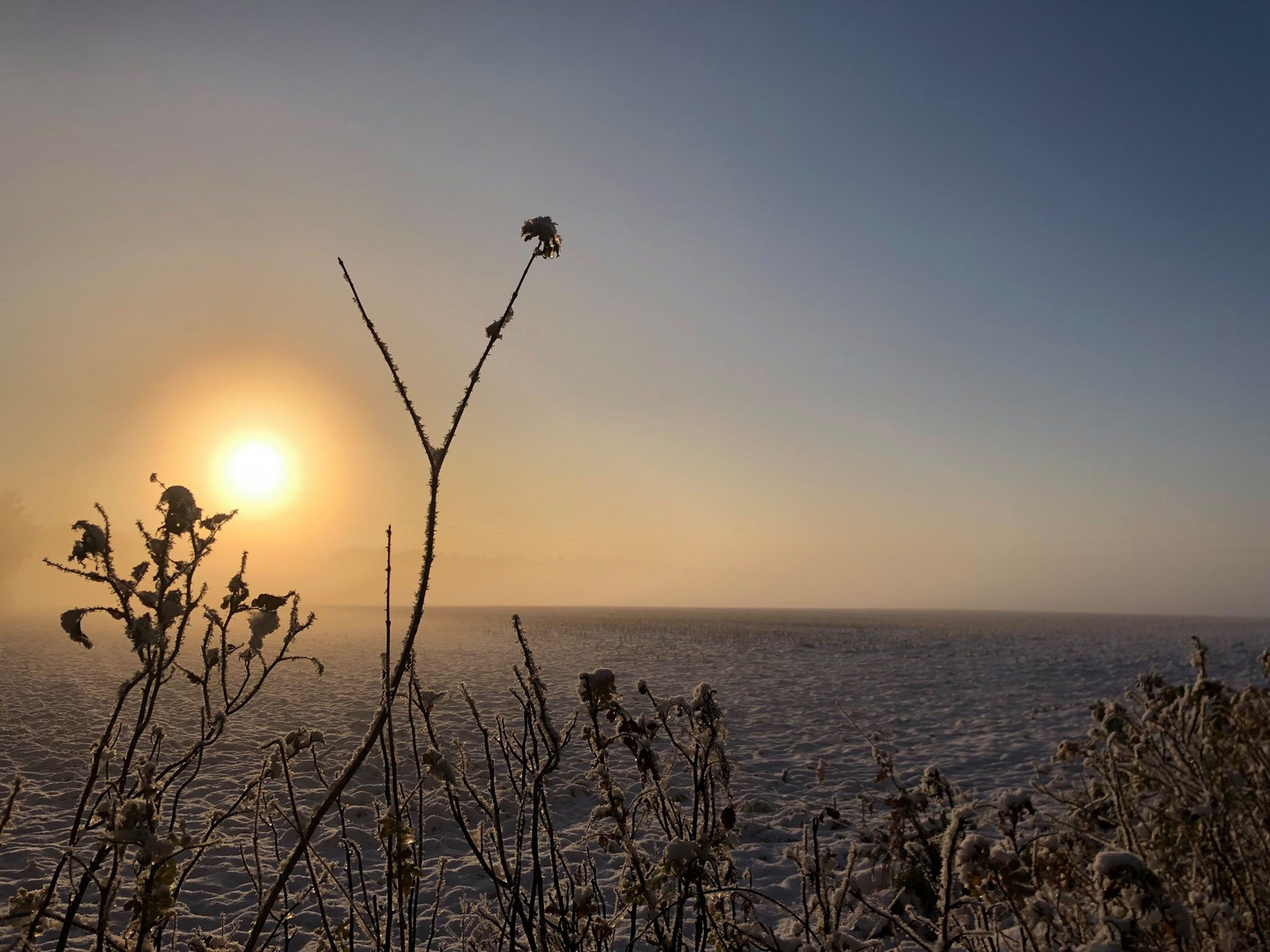 2023-12-02 Endlich Winter ... 