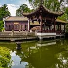 2023 Chinesischer Garten in Frankfurt 