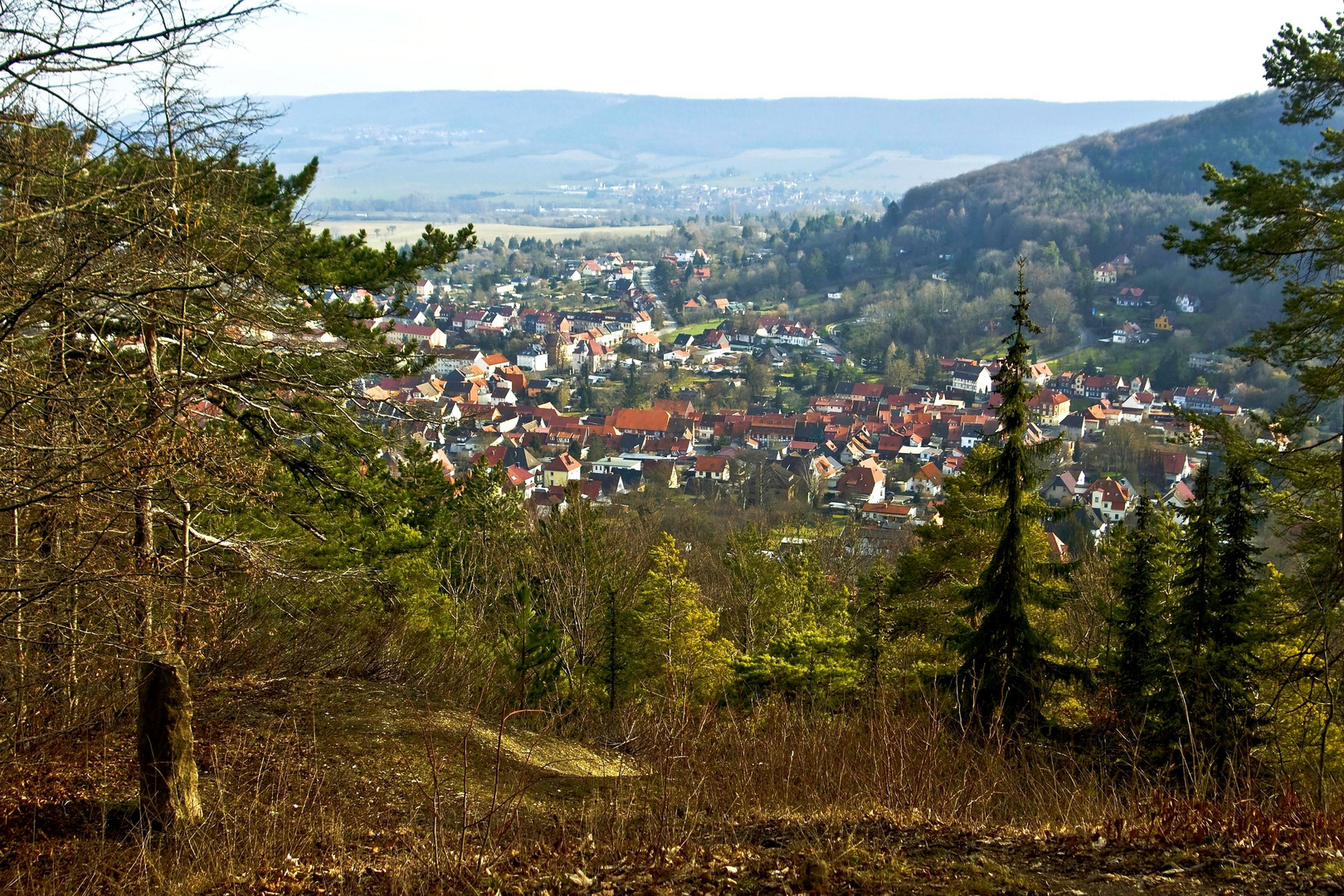 2023 Feb.Bleicheroder Berge