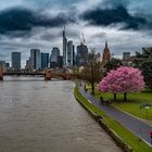2023 Frankfurter Skyline bei schlechtem Wetter im Frühling