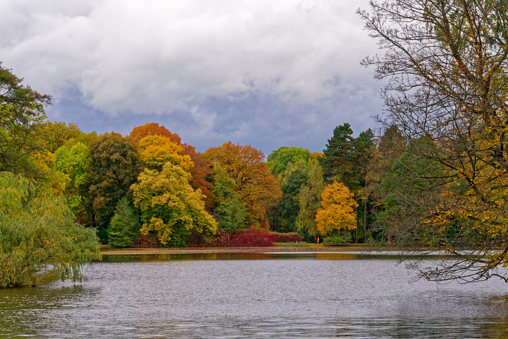 2023 Herbst im Stadtpark von Chemnitz_0253