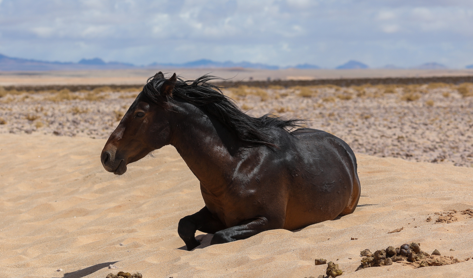 2023 Namibia-158