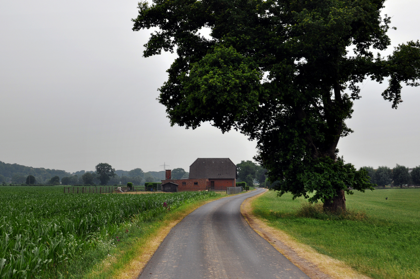 2023 | Rheinradweg: Darmstadt - Amsterdam