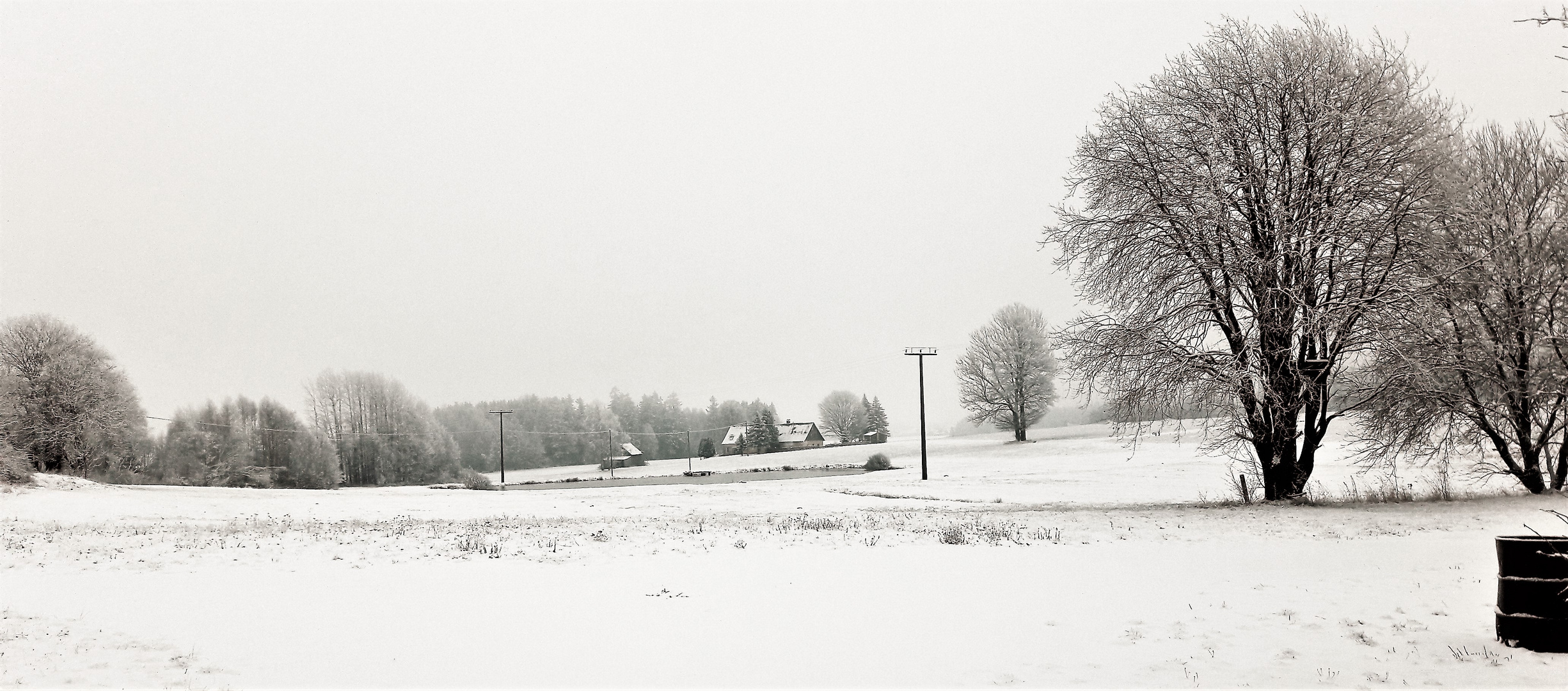 20230119  Schnee und Frost hat der Winter geschickt