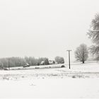 20230119  Schnee und Frost hat der Winter geschickt