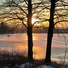 20230209 Baum als Blendschutz am Weißenstädter See