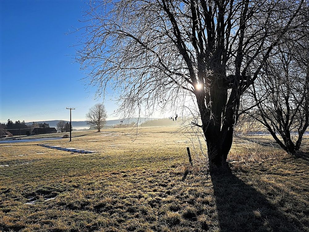 20230213 Endlich wieder Sonne 