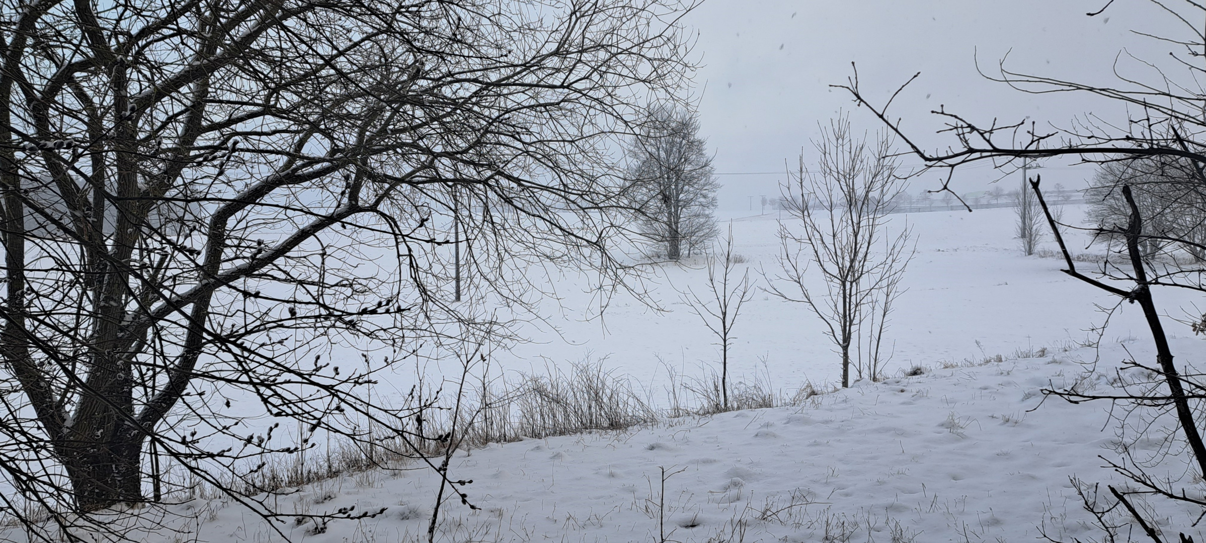 20230227  Schneegestöber im Fichtelgebirge I