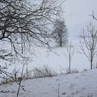 20230227  Schneegestöber im Fichtelgebirge I