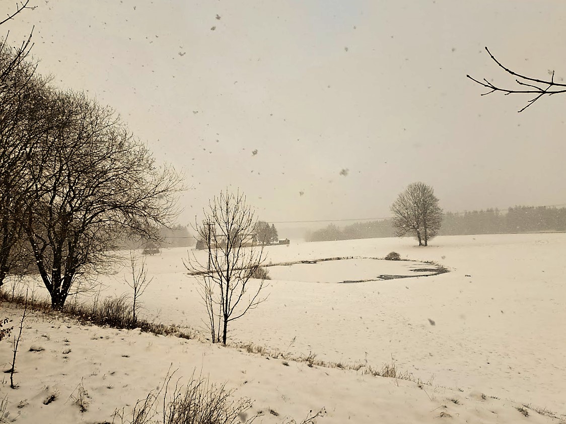 20230227 Schneegestöber im Fichtelgebirge III