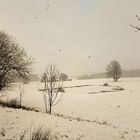 20230227 Schneegestöber im Fichtelgebirge III