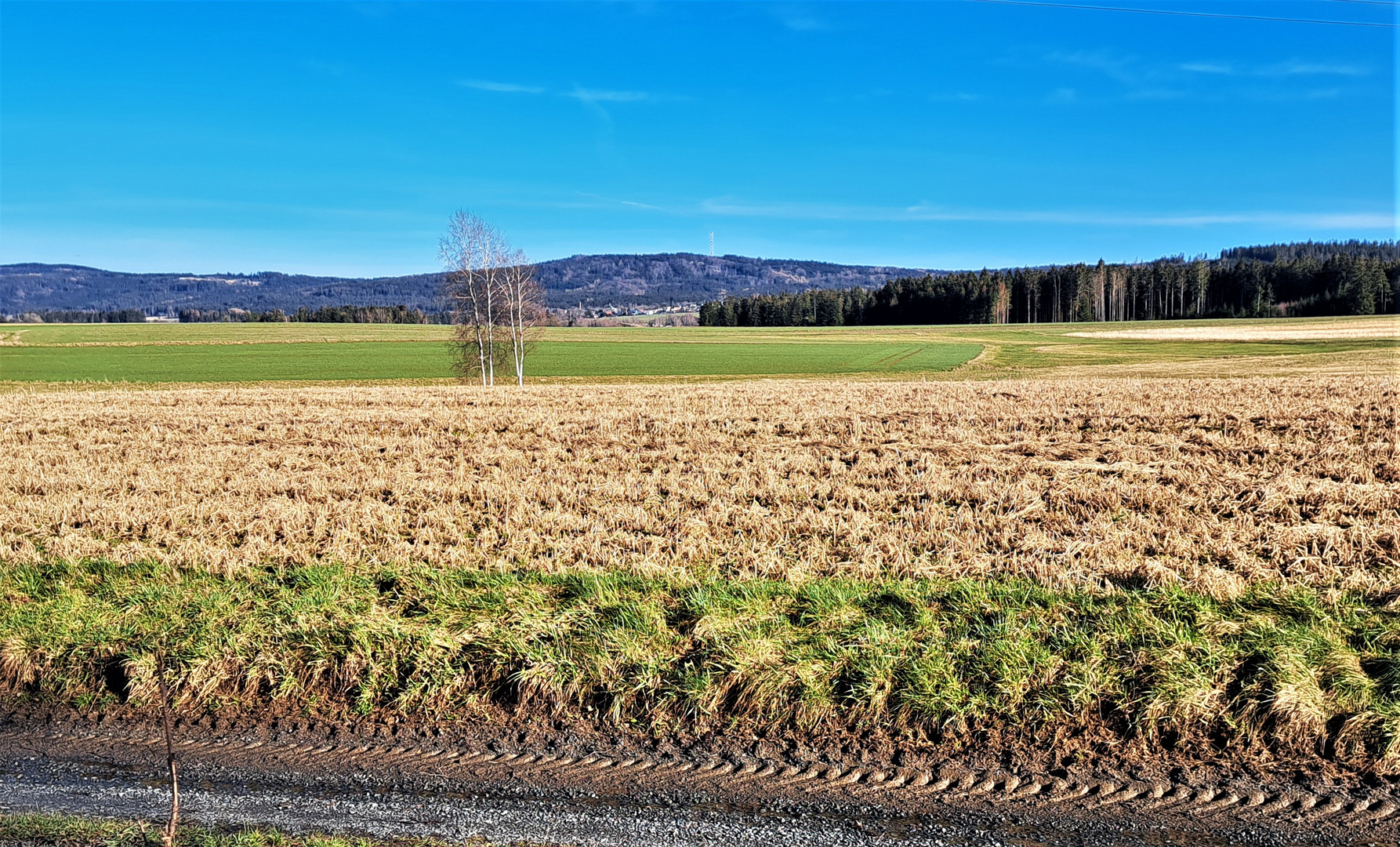 20230316 Sonntag mit Sonne : Blick zum Waldstein mit Sendemast  Fichtelgebirge