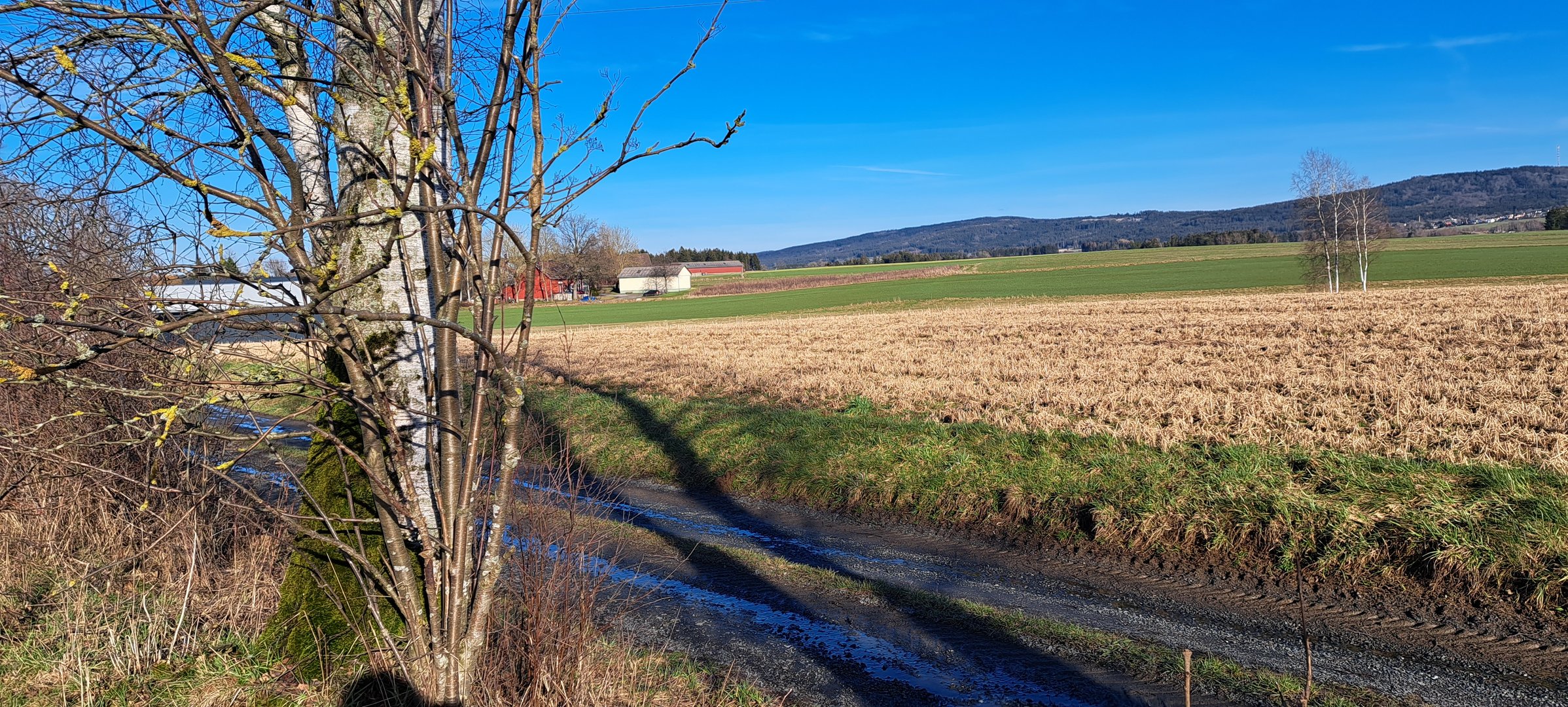 20230316 Unser Dorf Lösten (OT Zell) links und unsere Marktgemeinde Zell rechts