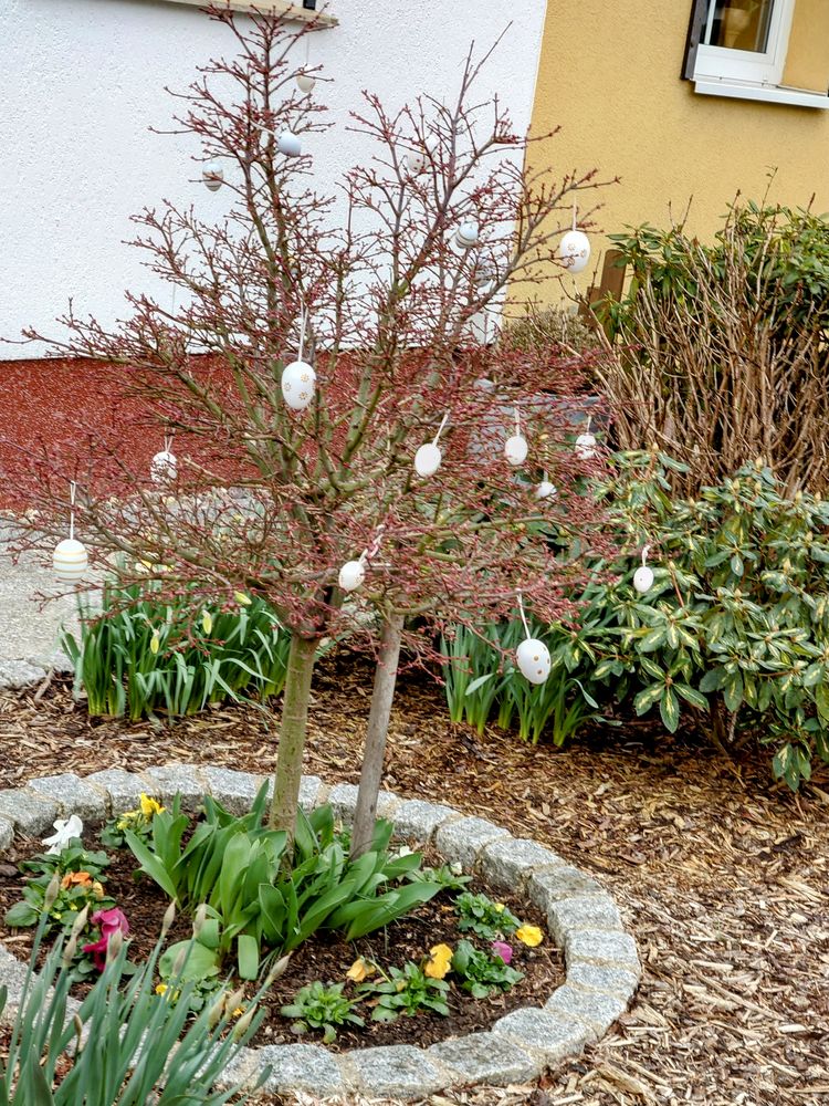 20230327_1313072 Zum Beispiel 1 zu Ostern Foto & Bild