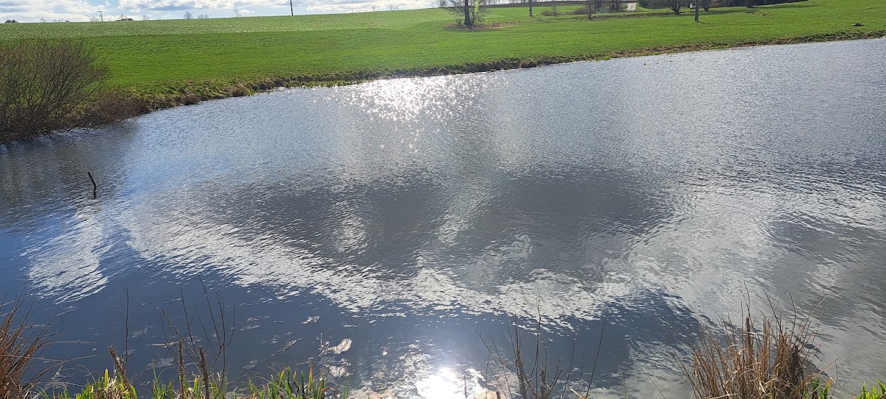 20230403  Spiegeltag :Sonne und Wolken  " im Wasser" vom  Seerosenteich 