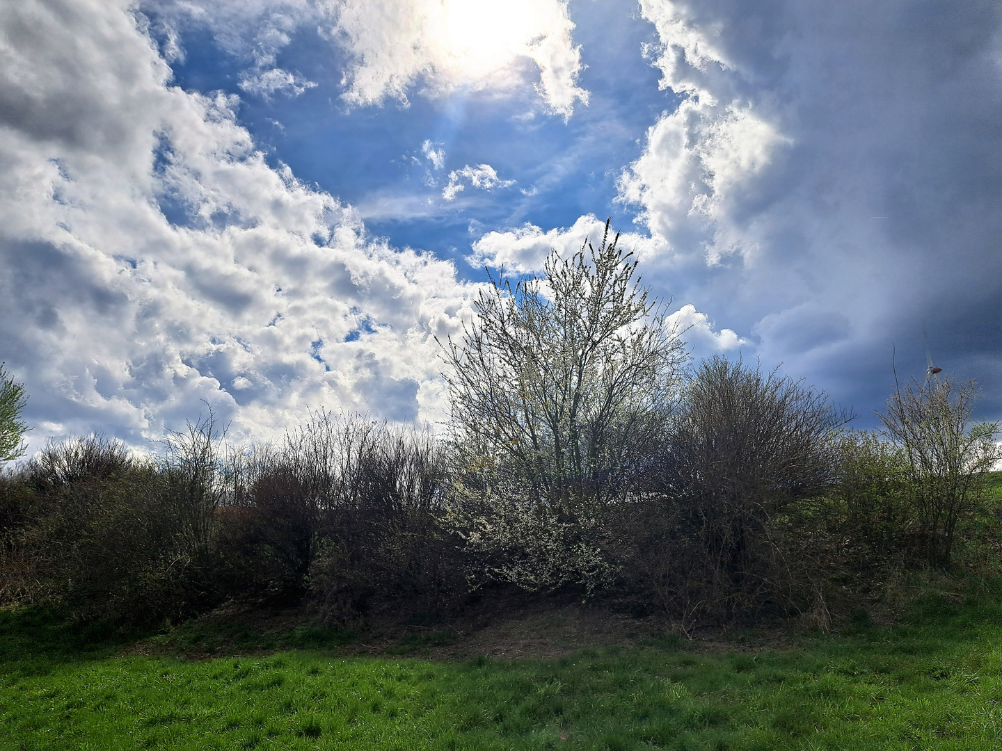 20230423 Sonntag mit Sonne  im Wolkenloch I