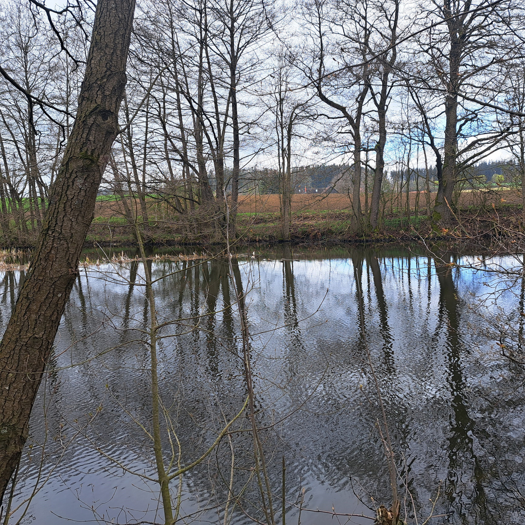 20230425 Spiegeltag auf dem Lernschwimmteich