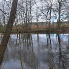 20230425 Spiegeltag auf dem Lernschwimmteich